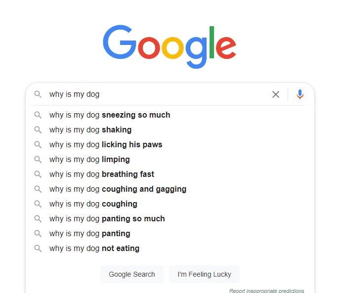 Google search autocomplete suggestions examples